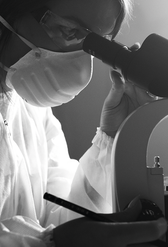 Programas de Ayudas a la Investigación de la Fundación Ramón Areces